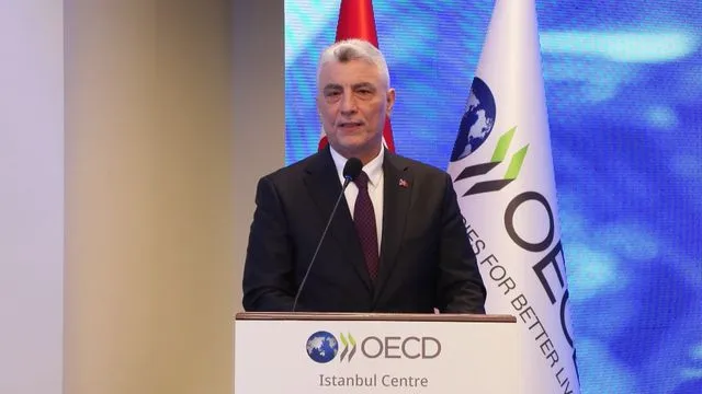 Bakan Bolat: Kritik madenlere çok büyük ihtiyaç var