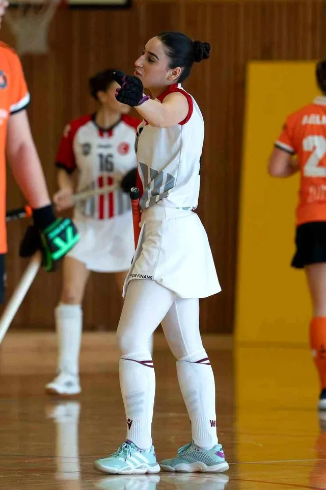 Hokeyde Avrupa