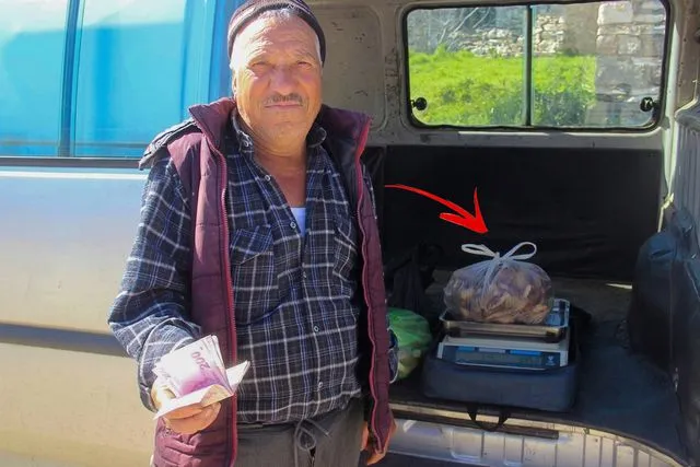 Kazdağları