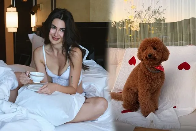 Nesrin Cavadzade’den köpeği Dolce