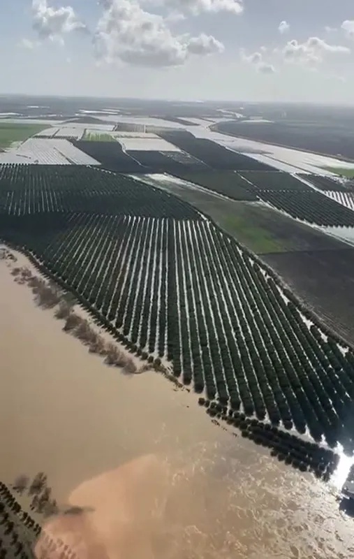 Adana'da Baraj Kapakları Açıldı: Sel Sularına Teslim Olan Ekili Arazilerde Yeniden Ekim Telaşı Başladı