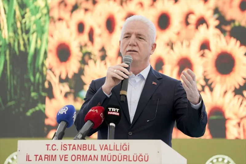 Çatalca'da 