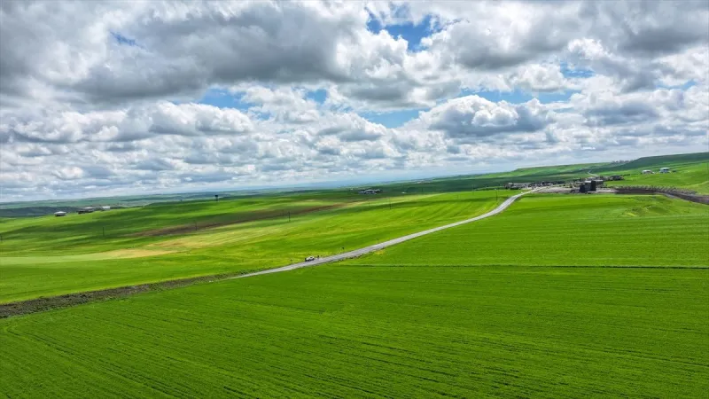 Diyarbakır
