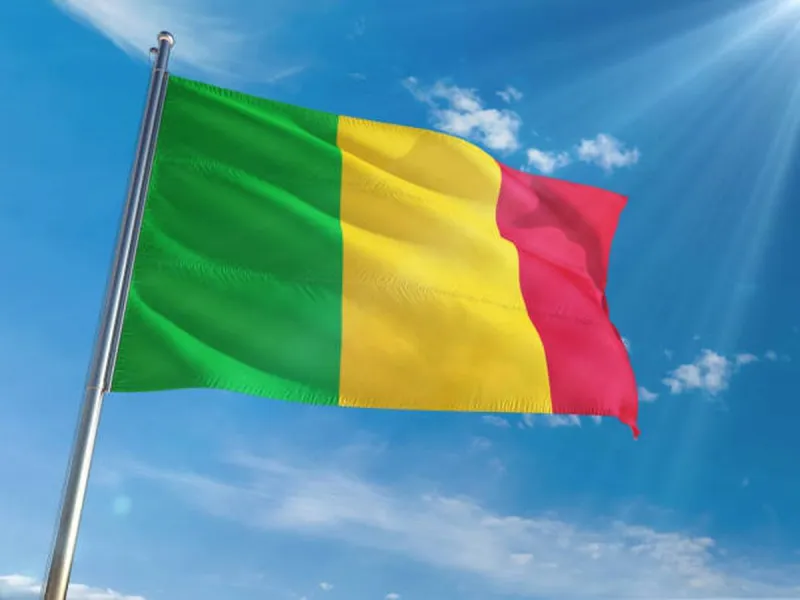 Mali'de Savunma Bakanı Sadio Camara'ya Kanlı Suikast: Ülkede Ulusal Yas İlan Edildi