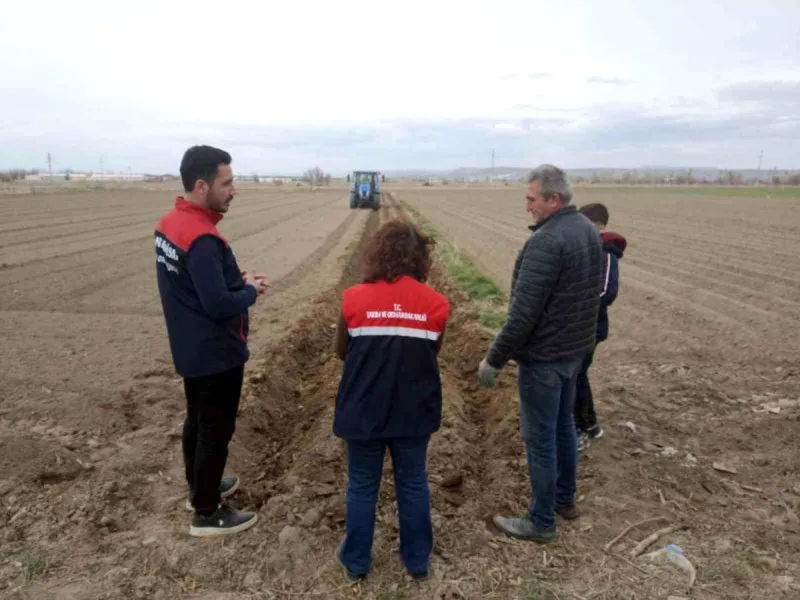 Patates ekimi sezonu başladı