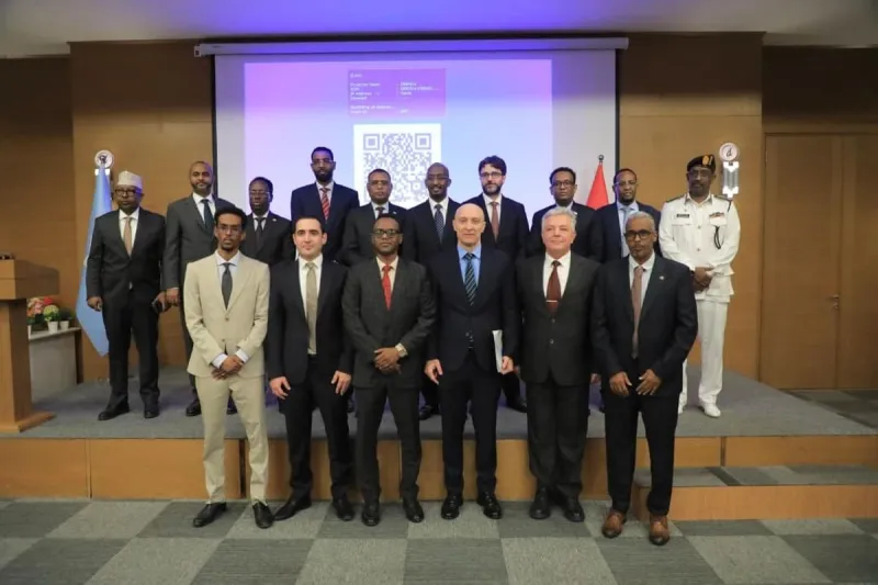 Uluslararası Sularda Türk Bayrağı: 'Ergun Reis A' Gemişine Somali'den Balıkçılık Lisansı