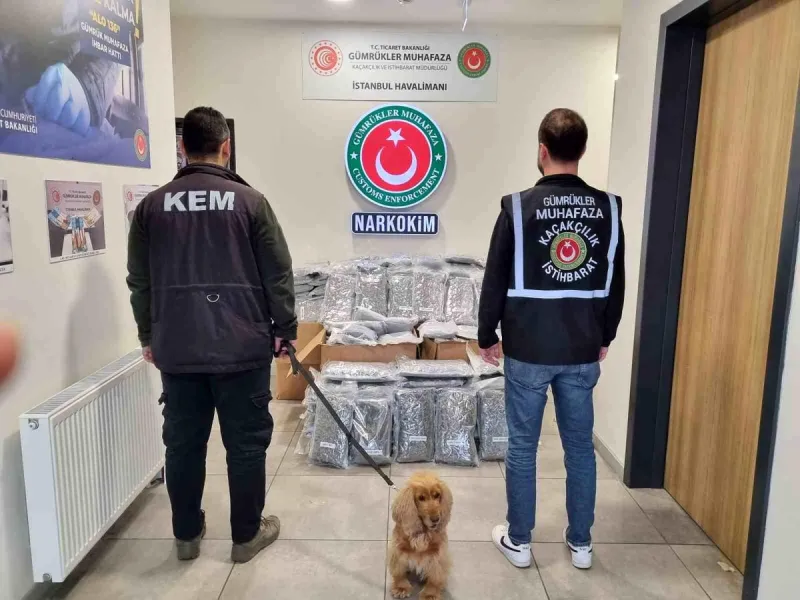 Zehir Tacirlerine Büyük Darbe: Ticaret Bakanlığı 378 Milyon Liralık Uyuşturucu Sevkiyatını Çökertti