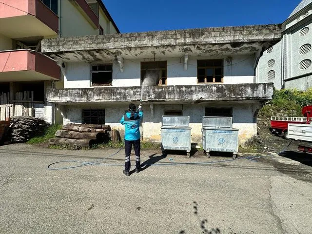 Trabzon'da kahverengi kokarca ile mücadele devam ediyor